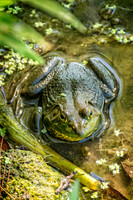 _7206059-Edit.jpg