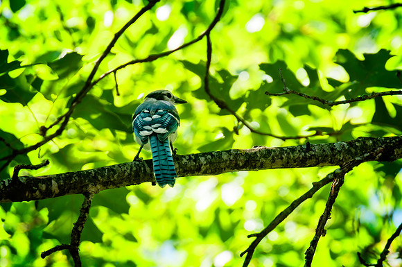 _DSC7890-Edit.jpg