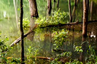 _DSC7973-Edit-2.jpg