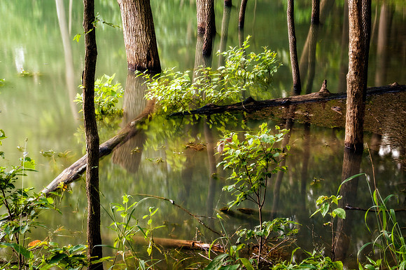 _DSC7973-Edit-2.jpg