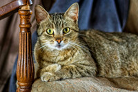_7202814-Edit.jpg