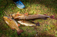 _7208991-Edit.jpg
