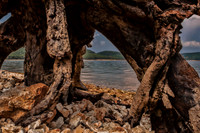 DSC_1726-Edit