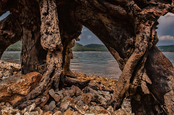 DSC_1726-Edit