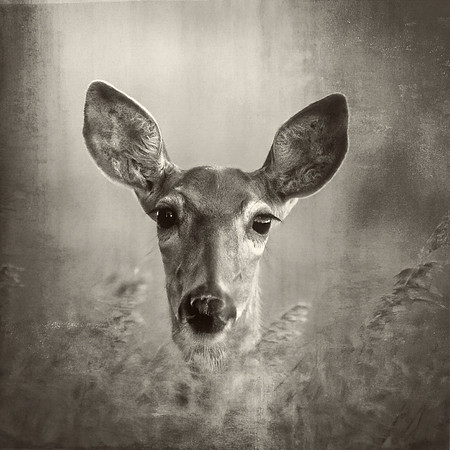 Eyes Are On You