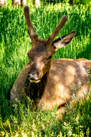 _7205000-Edit.jpg