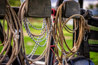 _7202844-Edit.jpg