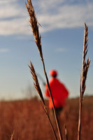 Pheasants Forever Youth Mentor Hunt 2011