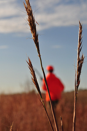 Pheasants Forever Youth Mentor Hunt 2011