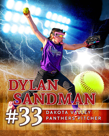 Dylan Sandman - Poster.jpg