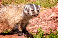 _7205037-Edit.jpg