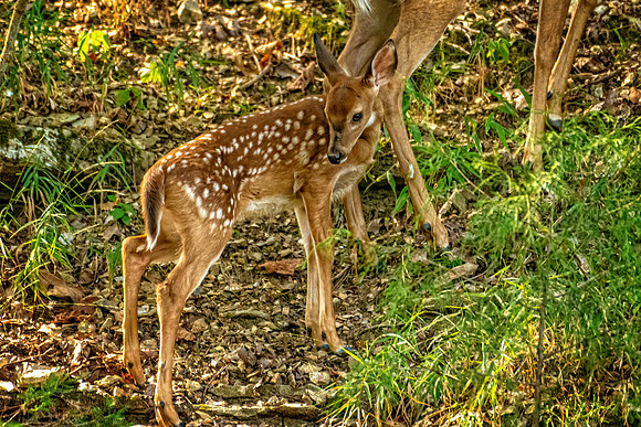 _7209558-Edit-Edit.jpg