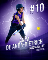 Anya - Poster - 18 copy.jpg
