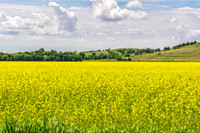 _7207912-Edit.jpg