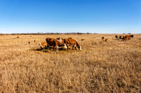 _7203217-Edit.jpg