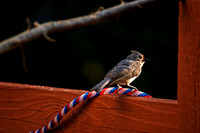 _DSC8034-Edit.jpg