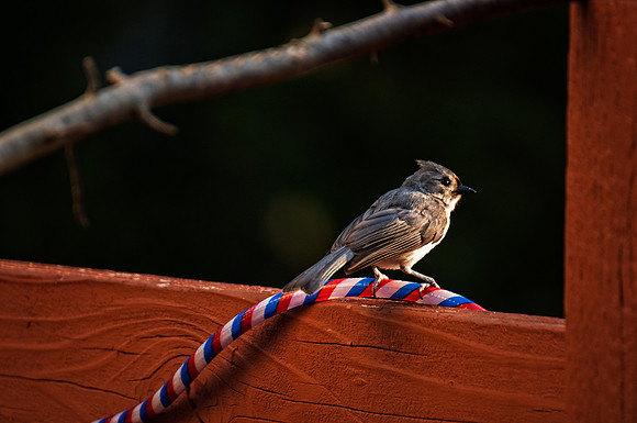 _DSC8034-Edit.jpg