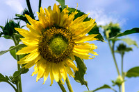 _7200127-Edit.jpg